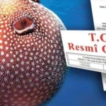 balon-baligi-avciligi-destegi-artirildi-5A6gmIA4.webp