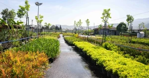 bornova-fidanligi-yeni-gorunumuyle-goz-kamastiriyor-QllPARH5.webp