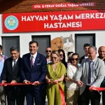manisada-sokak-hayvanlari-icin-hayvan-yasam-merkezi-hizmete-acildi-3SM3bBZy.webp