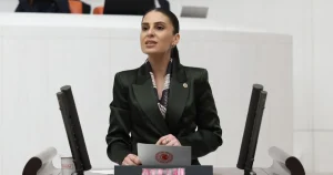 milletvekili-ozcandan-sokak-hayvanlari-icin-bakan-yumakliya-onerge-4qysDudM.webp