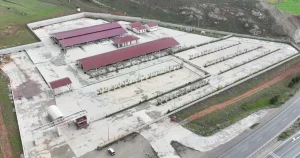 sivasta-kurban-pazari-kovaliya-kuruluyor-PlVskECP.webp