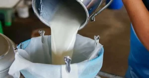 turkiyede-sut-uretimi-yukseliyor-martta-1-milyon-15-bin-ton-sut-toplandi-aCkUhGU1.webp